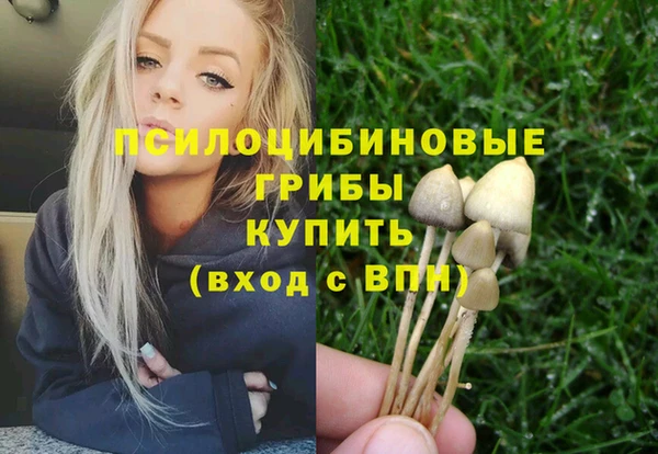 2c-b Алексеевка