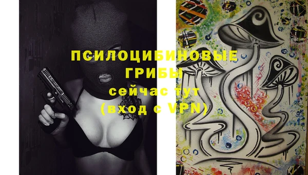 2c-b Алексеевка