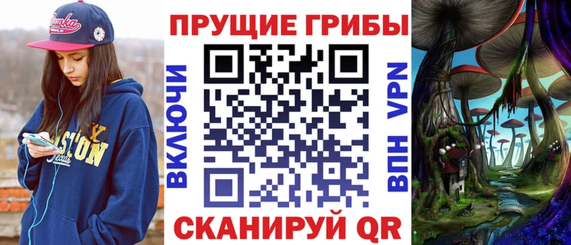 даркнет сайт  Дмитриев  Галлюциногенные грибы Psilocybine cubensis 