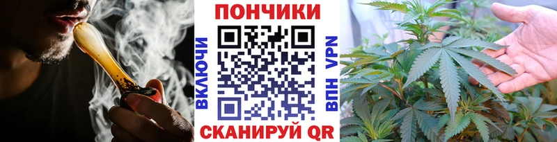 Каннабис OG Kush Дмитриев
